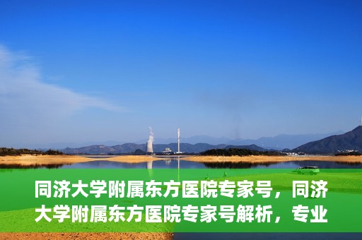 同济大学附属东方医院专家号，同济大学附属东方医院专家号解析，专业医疗服务的深度解读