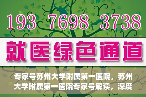 专家号苏州大学附属第一医院，苏州大学附属第一医院专家号解读，深度剖析医疗专业与服务质量