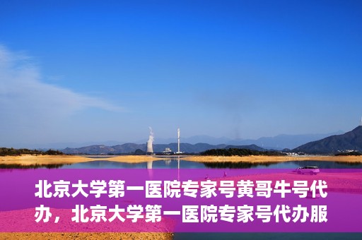 北京大学第一医院专家号黄哥牛号代办，北京大学第一医院专家号代办服务揭秘，黄哥牛号助您轻松预约专家资源