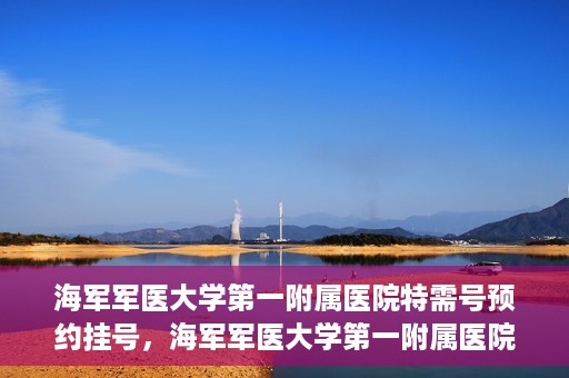 海军军医大学第一附属医院特需号预约挂号，海军军医大学第一附属医院特需号预约挂号攻略详解