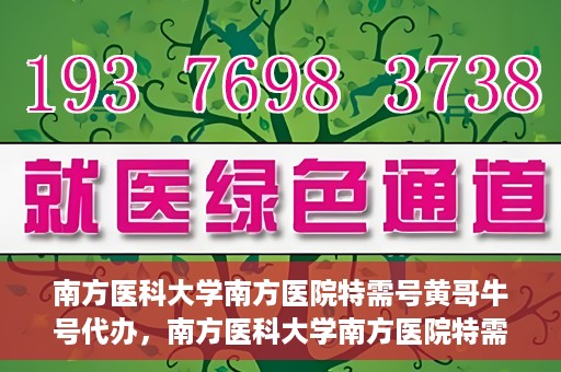 南方医科大学南方医院特需号黄哥牛号代办，南方医科大学南方医院特需号黄哥牛号代办服务解析