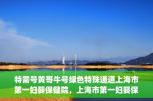 特需号黄哥牛号绿色特殊通道上海市第一妇婴保健院，上海市第一妇婴保健院特需绿色特殊通道——黄哥牛号专区