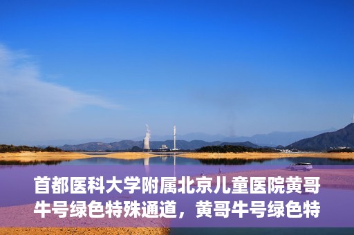 首都医科大学附属北京儿童医院黄哥牛号绿色特殊通道，黄哥牛号绿色特殊通道——北京儿童医院创新医疗服务的探索与实践