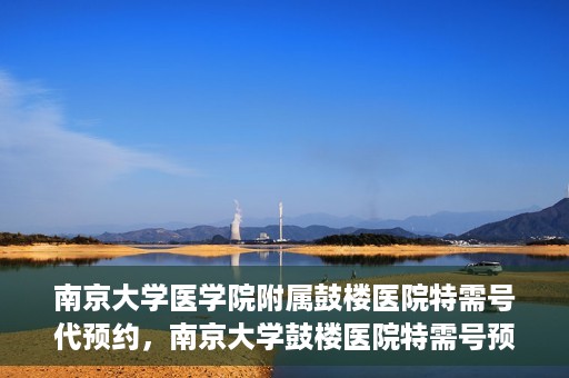 南京大学医学院附属鼓楼医院特需号代预约，南京大学鼓楼医院特需号预约服务解析