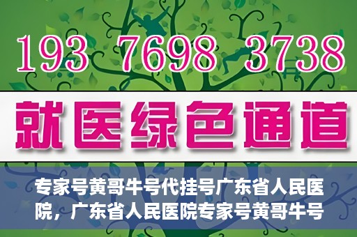 专家号黄哥牛号代挂号广东省人民医院，广东省人民医院专家号黄哥牛号代挂号服务解析