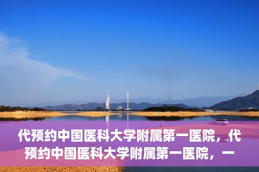代预约中国医科大学附属第一医院，代预约中国医科大学附属第一医院，一站式医疗预约服务体验