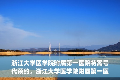 浙江大学医学院附属第一医院特需号代预约，浙江大学医学院附属第一医院特需号预约服务解析