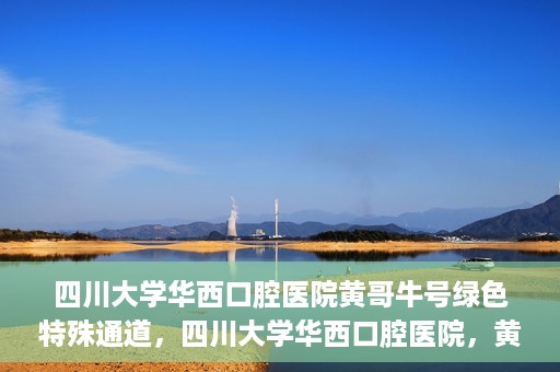 四川大学华西口腔医院黄哥牛号绿色特殊通道，四川大学华西口腔医院，黄哥牛号绿色特殊通道揭秘