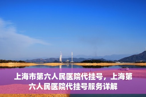 上海市第六人民医院代挂号，上海第六人民医院代挂号服务详解