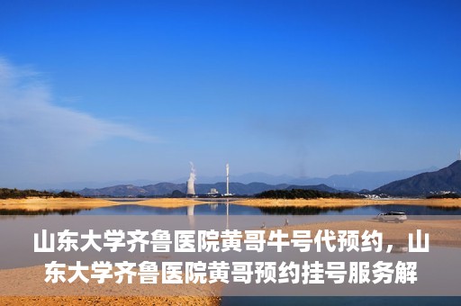山东大学齐鲁医院黄哥牛号代预约，山东大学齐鲁医院黄哥预约挂号服务解析