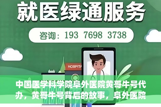 中国医学科学院阜外医院黄哥牛号代办，黄哥牛号背后的故事，阜外医院名医揭秘与医疗服务的深度解读