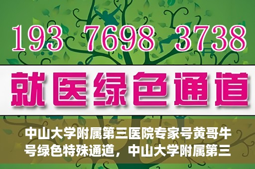 中山大学附属第三医院专家号黄哥牛号绿色特殊通道，中山大学附属第三医院专家号黄哥牛号，绿色特殊通道揭秘
