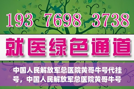 中国人民解放军总医院黄哥牛号代挂号，中国人民解放军总医院黄哥牛号代挂号解析，揭秘挂号背后的故事