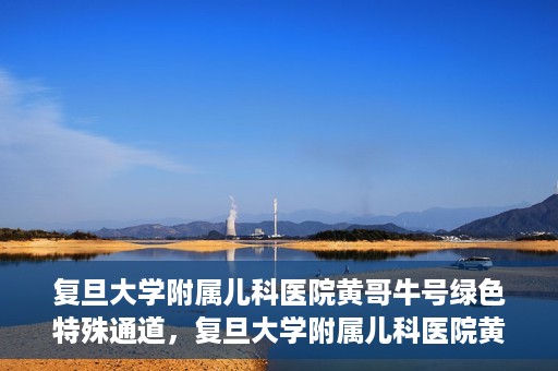 复旦大学附属儿科医院黄哥牛号绿色特殊通道，复旦大学附属儿科医院黄哥牛号，绿色特殊通道的温暖守护