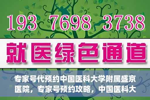 专家号代预约中国医科大学附属盛京医院，专家号预约攻略，中国医科大学附属盛京医院挂号指南
