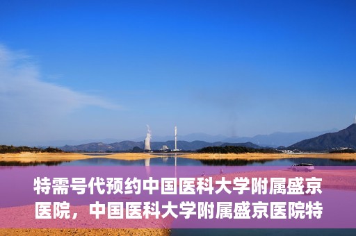 特需号代预约中国医科大学附属盛京医院，中国医科大学附属盛京医院特需号代预约服务详解
