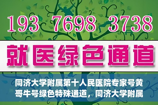 同济大学附属第十人民医院专家号黄哥牛号绿色特殊通道，同济大学附属第十人民医院专家号黄哥牛号，绿色特殊通道开启健康之门