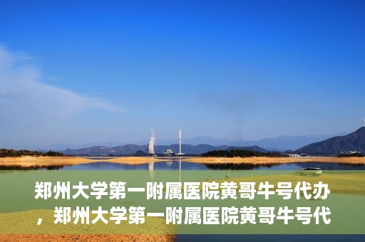 郑州大学第一附属医院黄哥牛号代办，郑州大学第一附属医院黄哥牛号代办，就医新选择与信赖之选