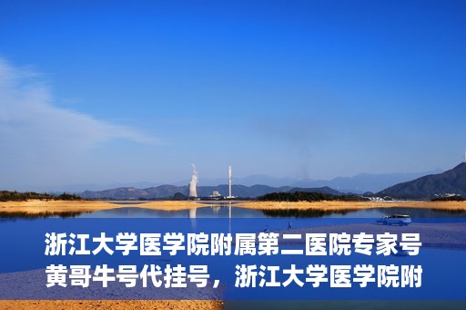 浙江大学医学院附属第二医院专家号黄哥牛号代挂号，浙江大学医学院附属第二医院专家黄哥牛号代挂号攻略解析