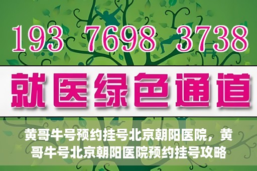 黄哥牛号预约挂号北京朝阳医院，黄哥牛号北京朝阳医院预约挂号攻略