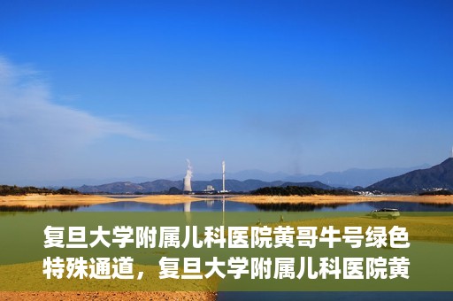 复旦大学附属儿科医院黄哥牛号绿色特殊通道，复旦大学附属儿科医院黄哥牛号，绿色特殊通道的温暖守护