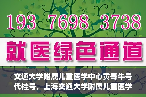 交通大学附属儿童医学中心黄哥牛号代挂号，上海交通大学附属儿童医学中心黄哥牛号代挂号解析与攻略
