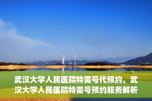 武汉大学人民医院特需号代预约，武汉大学人民医院特需号预约服务解析