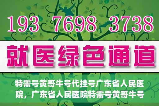 特需号黄哥牛号代挂号广东省人民医院，广东省人民医院特需号黄哥牛号代挂号服务解析