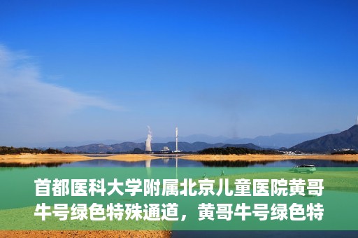 首都医科大学附属北京儿童医院黄哥牛号绿色特殊通道，黄哥牛号绿色特殊通道——北京儿童医院创新医疗服务的探索与实践