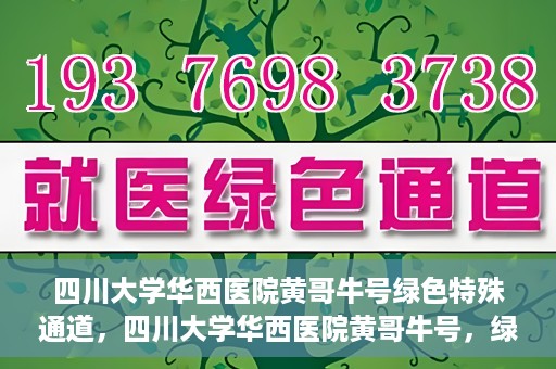 四川大学华西医院黄哥牛号绿色特殊通道，四川大学华西医院黄哥牛号，绿色特殊通道开启生命之门