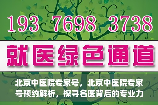 北京中医院专家号，北京中医院专家号预约解析，探寻名医背后的专业力量