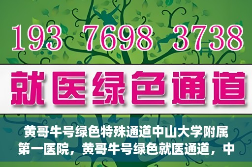 黄哥牛号绿色特殊通道中山大学附属第一医院，黄哥牛号绿色就医通道，中山大学附属第一医院的实践探索