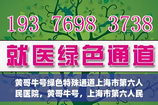 黄哥牛号绿色特殊通道上海市第六人民医院，黄哥牛号，上海市第六人民医院绿色特殊通道揭秘