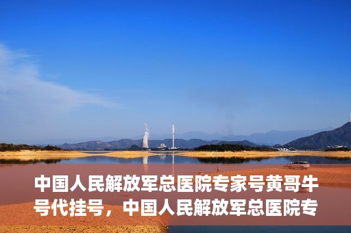 中国人民解放军总医院专家号黄哥牛号代挂号，中国人民解放军总医院专家号黄哥牛号代挂号服务解析