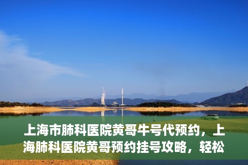 上海市肺科医院黄哥牛号代预约，上海肺科医院黄哥预约挂号攻略，轻松预约牛号