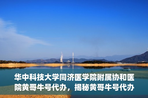 华中科技大学同济医学院附属协和医院黄哥牛号代办，揭秘黄哥牛号代办背后的故事，华中科技大学同济医学院附属协和医院就医新途径探索