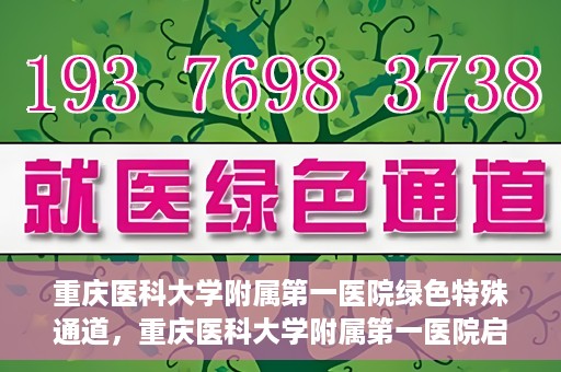 重庆医科大学附属第一医院绿色特殊通道，重庆医科大学附属第一医院启动绿色特殊通道，高效医疗服务的探索与实践