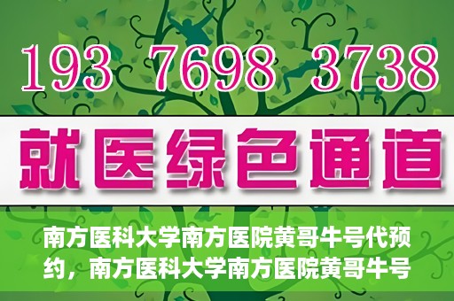 南方医科大学南方医院黄哥牛号代预约，南方医科大学南方医院黄哥牛号预约服务解析
