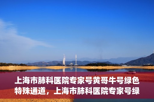 上海市肺科医院专家号黄哥牛号绿色特殊通道，上海市肺科医院专家号绿色通道，黄哥牛号引领特殊通道新风尚
