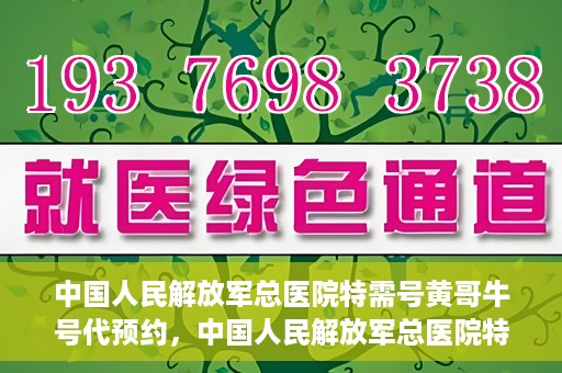 中国人民解放军总医院特需号黄哥牛号代预约，中国人民解放军总医院特需号专家预约服务解析，黄哥牛号预约详解