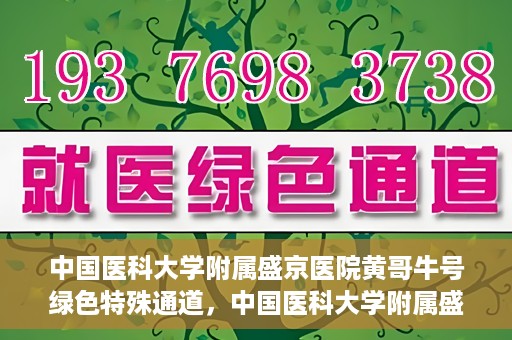 中国医科大学附属盛京医院黄哥牛号绿色特殊通道，中国医科大学附属盛京医院黄哥牛号，绿色特殊通道开启健康之门