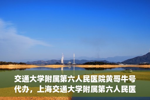 交通大学附属第六人民医院黄哥牛号代办，上海交通大学附属第六人民医院黄哥牛号代办服务解析
