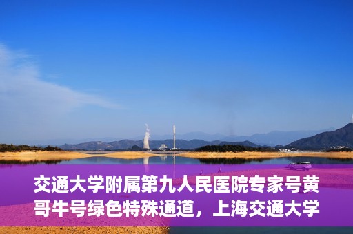交通大学附属第九人民医院专家号黄哥牛号绿色特殊通道，上海交通大学附属第九人民医院专家号黄哥牛号，绿色特殊通道解析