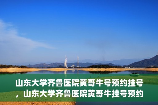 山东大学齐鲁医院黄哥牛号预约挂号，山东大学齐鲁医院黄哥牛挂号预约攻略