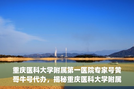 重庆医科大学附属第一医院专家号黄哥牛号代办，揭秘重庆医科大学附属第一医院专家号代办背后的故事，黄哥牛号助您轻松预约专家