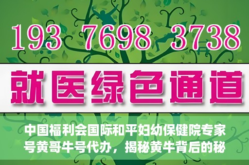 中国福利会国际和平妇幼保健院专家号黄哥牛号代办，揭秘黄牛背后的秘密，中国福利会国际和平妇幼保健院专家号代办乱象解探