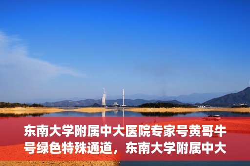 东南大学附属中大医院专家号黄哥牛号绿色特殊通道，东南大学附属中大医院专家黄哥牛号，绿色特殊通道揭秘