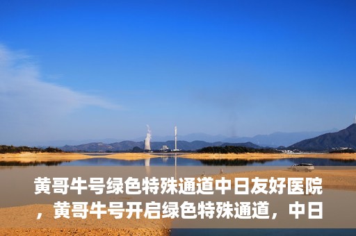 黄哥牛号绿色特殊通道中日友好医院，黄哥牛号开启绿色特殊通道，中日友好医院展现友好服务新篇章