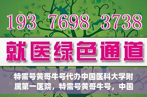 特需号黄哥牛号代办中国医科大学附属第一医院，特需号黄哥牛号，中国医科大学附属第一医院代办服务详解