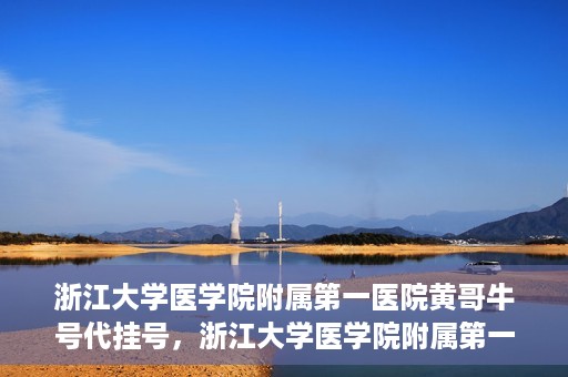 浙江大学医学院附属第一医院黄哥牛号代挂号，浙江大学医学院附属第一医院黄哥牛号代挂号服务解析